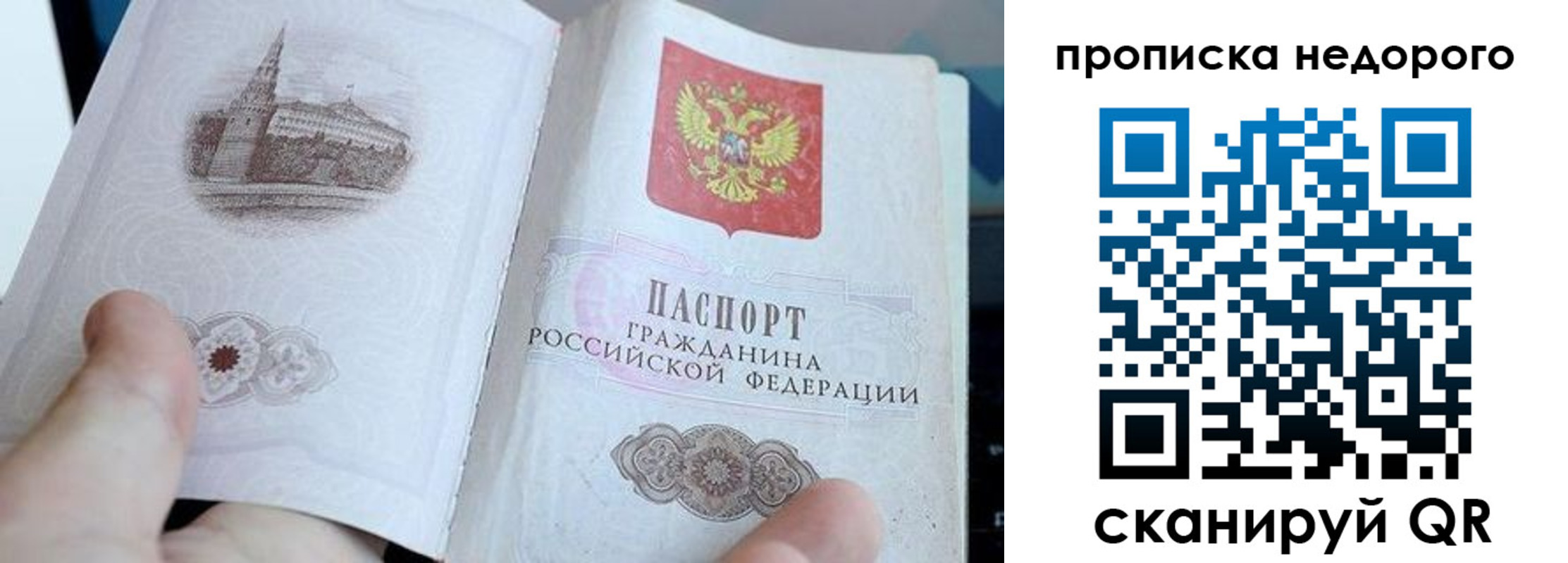 пропишу в квартире в Александровске
